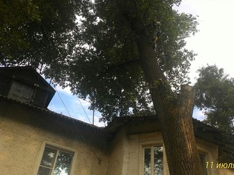 Смотреть изображение  Спил аварийных опасных деревьев 66237278 в Белгороде