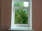  foto     34269451  