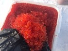  foto     - , 38385394  