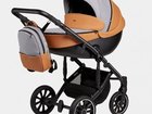  2  1 Anex m/type, Foxy (Sp14Q)