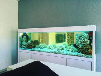 Просмотреть фото Изготовление аквариумов Изготовление акварима под ключ 39968178 в Калининграде
