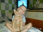 Свежее изображение Отдам даром Потерялся рыжий кот 32315490 в Киеве