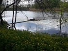  foto        36587969  