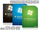       windows, 33346381  