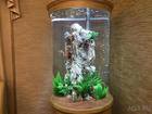 Свежее foto Аквариумы Шикарный аквариум Marvelous с большим цилиндром 41699746 в Красноярске