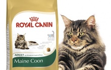 Royal Canin     2 