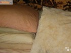 Скачать фотографию  Покупаем оптом и в розницу старые подушки перины в Брянске 38886053 в Брянске