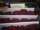 Новое foto  Предлагаем Эквадорскую розу Эксплорер Оптом напямую от с плантации от 1 Коробки, 41047969 в Краснодаре
