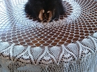   foto      38357588  