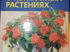          38991484  