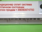         37751619  