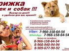  foto      ,   ,          38134285  