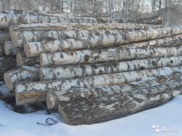 Береза Авто Интернет Магазин