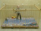 Скачать фото Детская мебель Манеж детский отечественный деревянный 1, 3х1, 8м с высокими стенками 80см 34255650 в Новосибирске