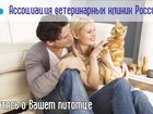   foto        34257713  