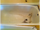 Уникальное foto  Акриловый вкладыш в ванну 36288127 в Ижевске