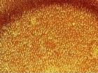 Свежее изображение Разное Катионит для отопительных систем 37057271 в Каменск-Шахтинском