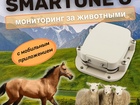    SmartOne C / GPS   ,    86231893  