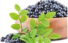 Средства от купероза, Aronia berry extract
