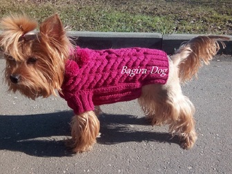 Скачать фото Одежда для собак Одежда для собак и кошек Bagira-Dog 18275192 в Москве