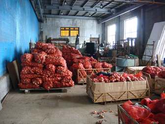 Увидеть изображение  Продается картофель оптом 5+ 6+ , фермерское хоз-во напрямую от производ, 38216726 в Магадане