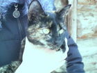  foto          50043223   
