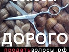  foto         37150687   