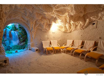 Свежее фото Растения Соляные комнаты и пещеры под ключ 39327637 в Новосибирске