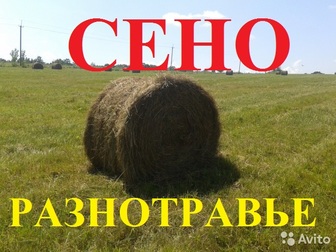 Новое foto Корм для животных Свежее сено, разнотравье, в рулонах 39876411 в Омске