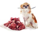 Новое фотографию Корм для животных Мясо для животных 38867529 в Раменском