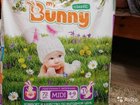  my Bunny