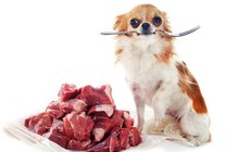 Мясо для животных