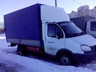          33023, 2015 38393785  