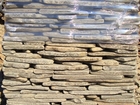  foto       72256007  