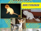  foto         37661613  