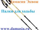 Свежее фото  палки для ходьбы ergoforce 32685610 в Ставрополе