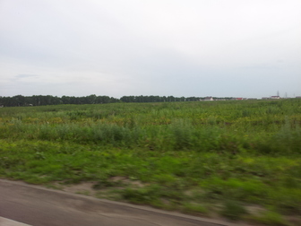 Новое фотографию Земельные участки Участок в Крутых Выселках, недорого 37596551 в Тамбове