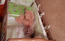 Кроватка детская  матрац