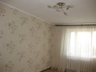  foto     2-,  33872041  