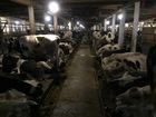  foto       2-5 ! 76768342  