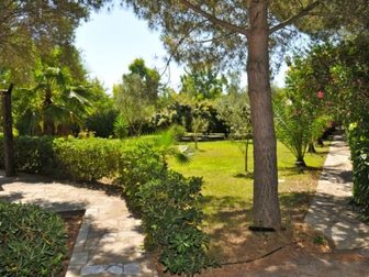 Скачать фото Поиск партнеров по бизнесу На Сардинии (Италия) продается усадьба с большим парком, бассейном, кортом ,виноградниками 33660337 в Уфе
