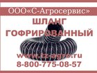      80  33809950  