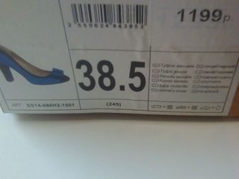  foto    38344521  