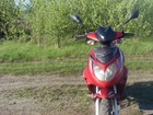  foto   Racer lupus rc50qt-9c 39157818  