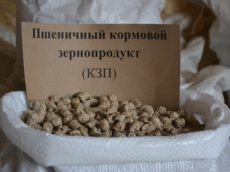 Свежее фотографию Корм для животных Зернопродукт пшеничный кормовой гранулированный 38861334 в Балашихе