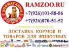Просмотреть фото Зоомагазины Зоомагазин Рыжик Доставка кормов и товаров для животных 32468220 в Жуковском